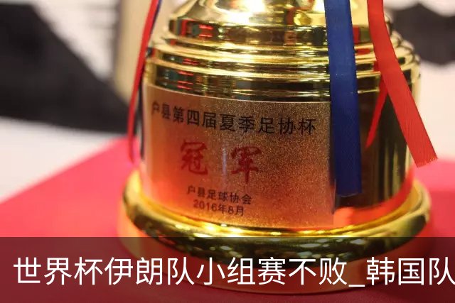 世界杯伊朗队小组赛不败 韩国队出线仅剩理论可能